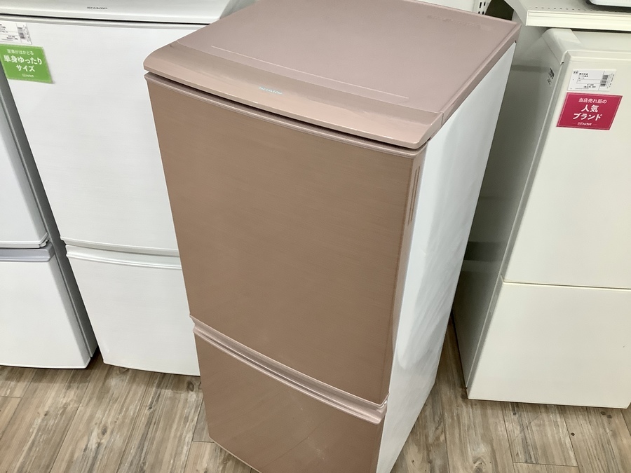 リッチなピンクゴールド！SHARPの2ドア冷蔵庫が入荷しました。｜2021年