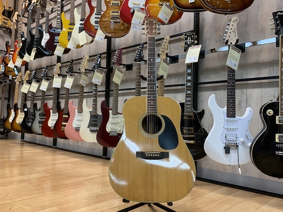 TAKAMINE ELITE（タカミネエリート）のTW-60が買取入荷しました