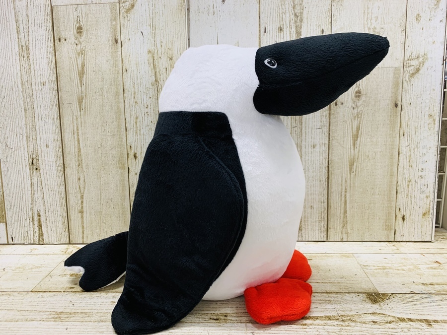 ペンギンじゃないよブービーバードだよ！CHUMS（チャムス）ビッグ