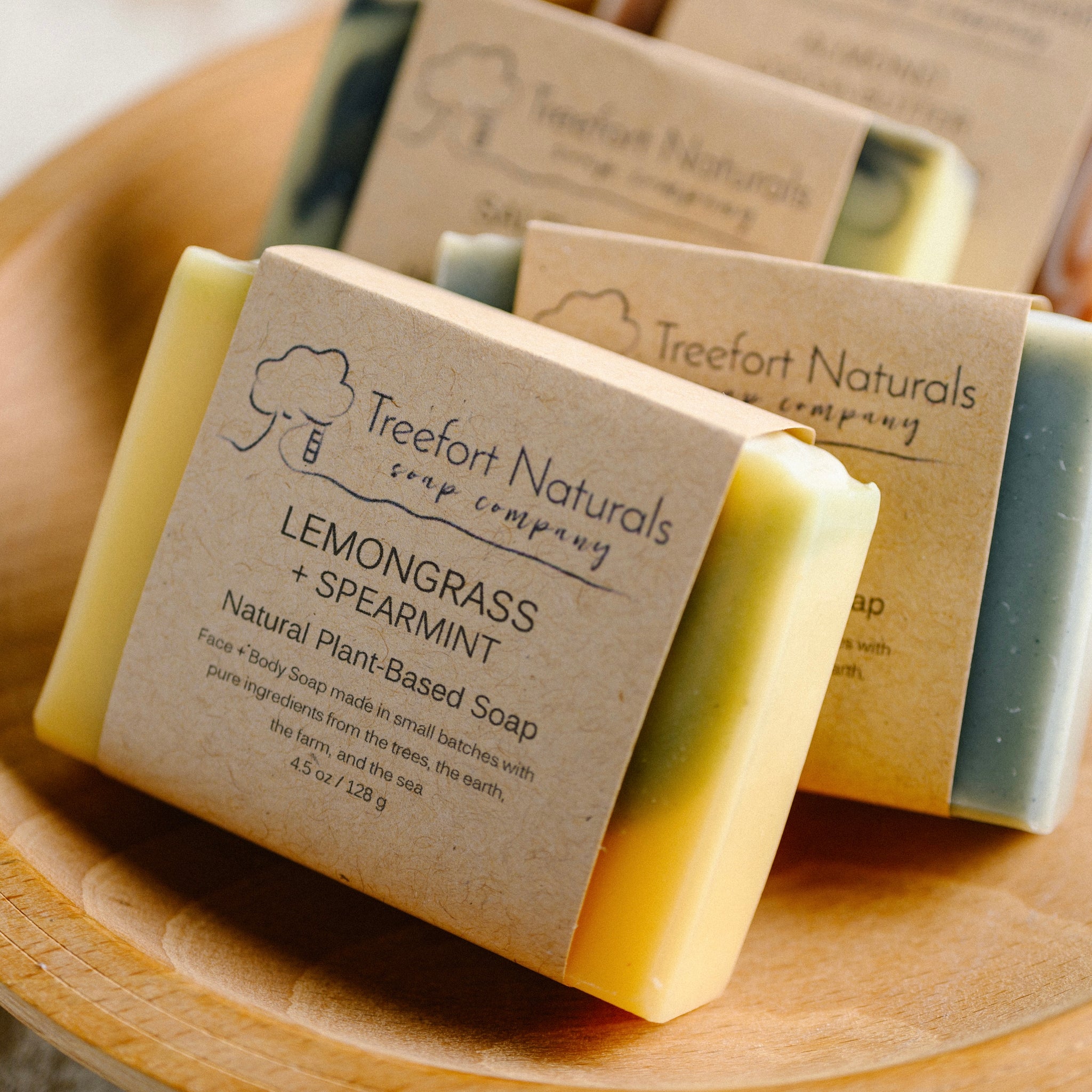 Ten Bar Soap Set - Treefort Naturals