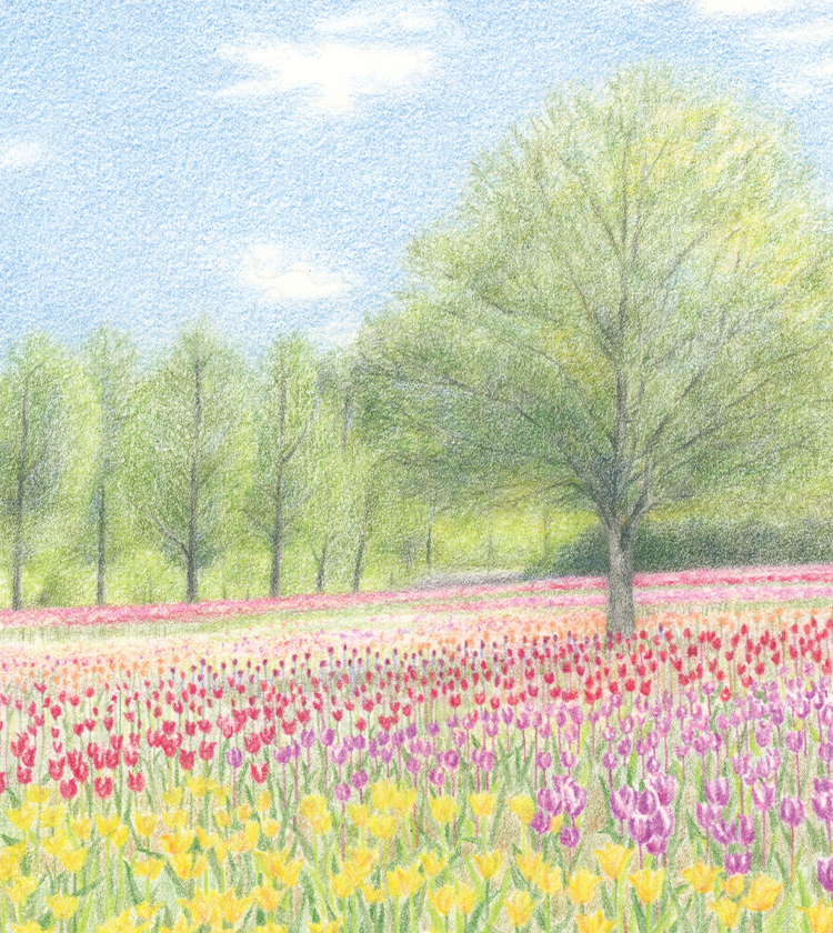 色鉛筆画通信教育講座｜資格取得なら生涯学習のユーキャン