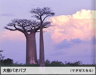 公式】ユーキャンの通販ショップ 世界の秘境 DVD全8巻｜ユーキャン