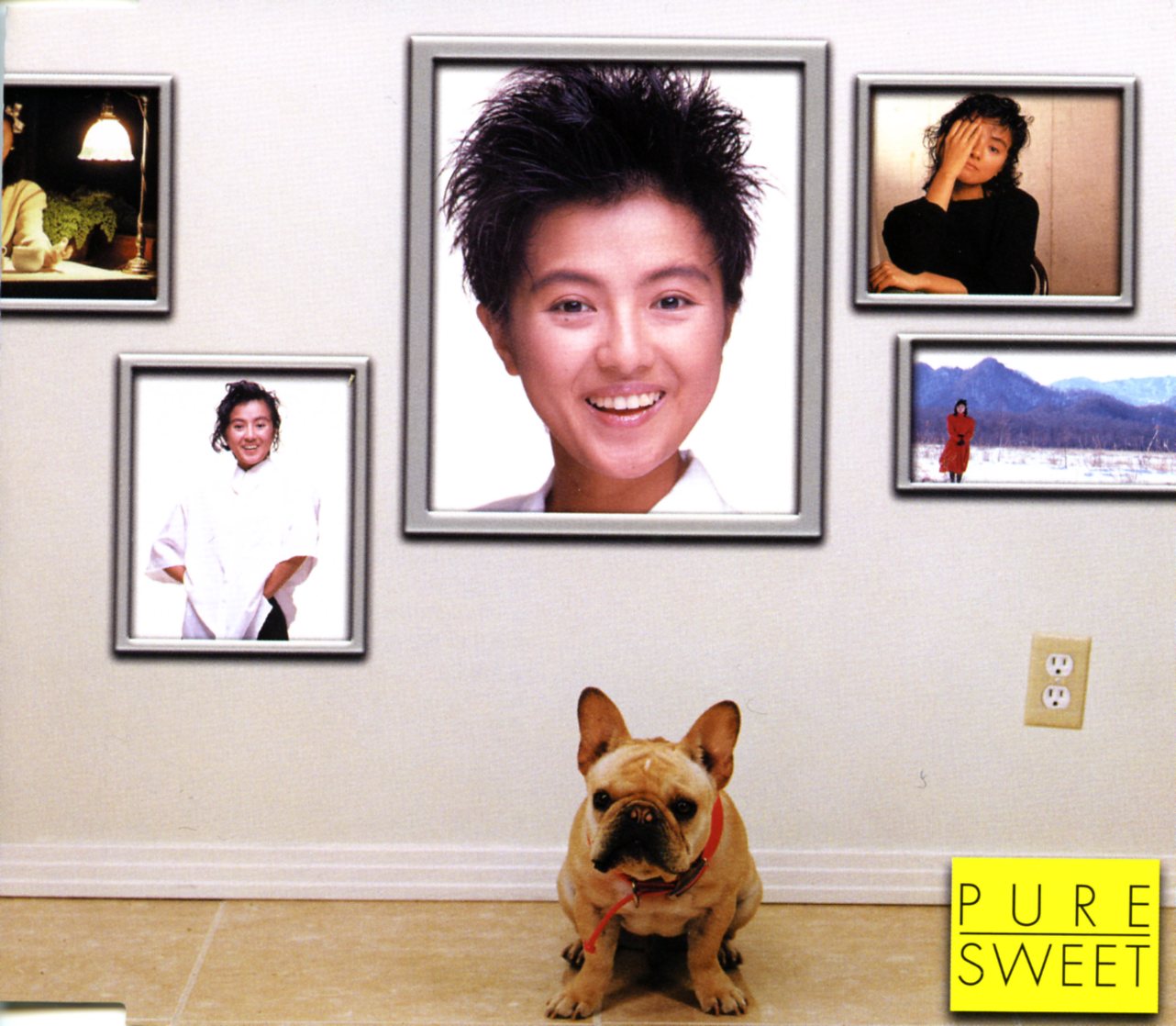 音楽のある風景 公式通販サイト》：薬師丸ひろ子 ピュア・スウィート