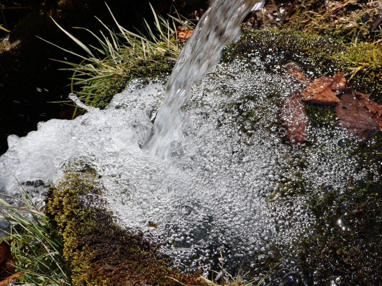 青森県産りんご 100% 使用 × 白神山地の天然酵母 りんごの芳醇な余韻に