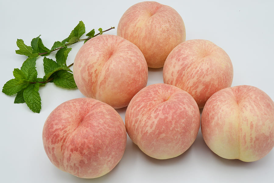 プレミアム白桃CX(シーエックス)約2kg(6〜8玉)