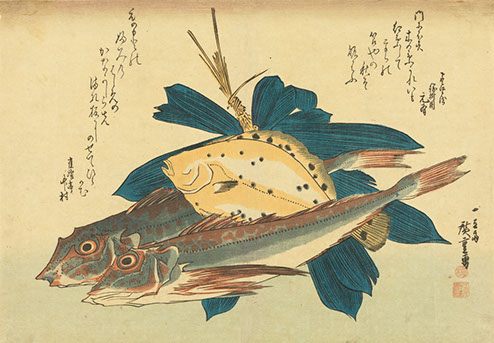 アート魚ッチング―描かれた水の仲間たち― – 広島 海の見える杜美術館