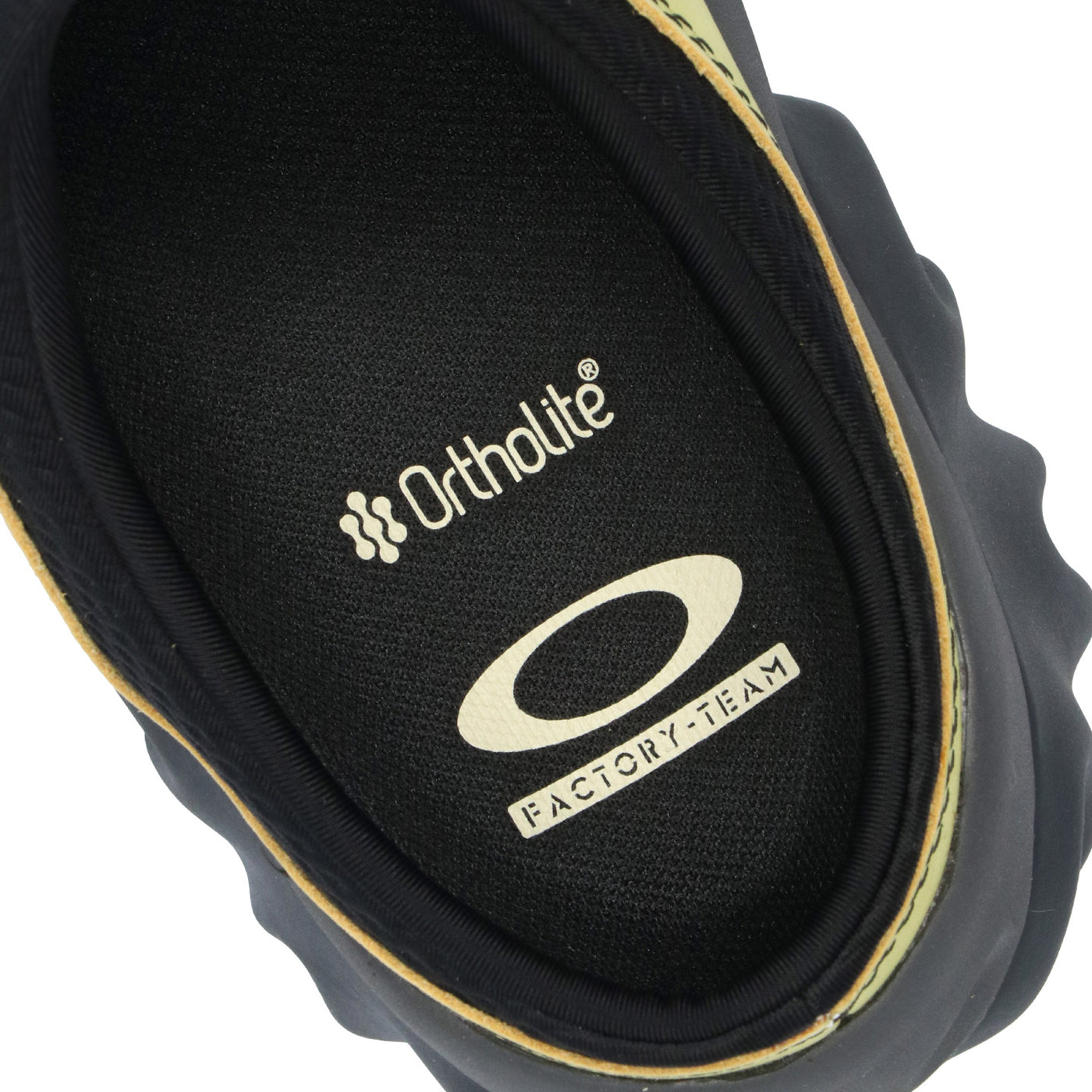 OAKLEYXBRAINDEAD_D3__202411008