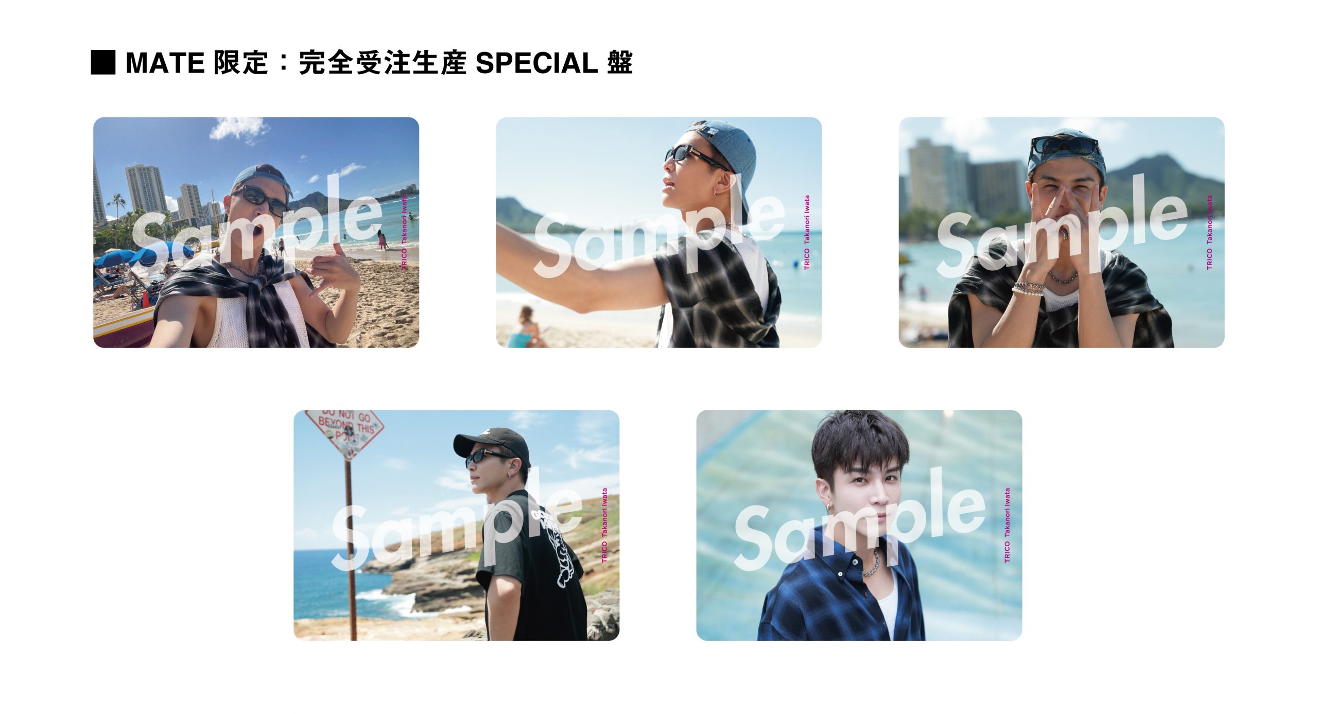 2025年8月6日リリース「TORICO」封入トレカ（全25種）＆ポスター絵柄