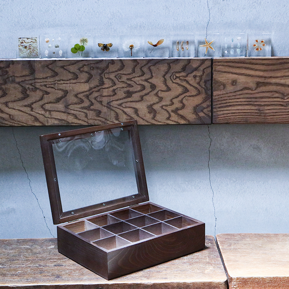 標本箱」「標本プレート」販売開始のお知らせ – 株式会社ウサギノネドコ