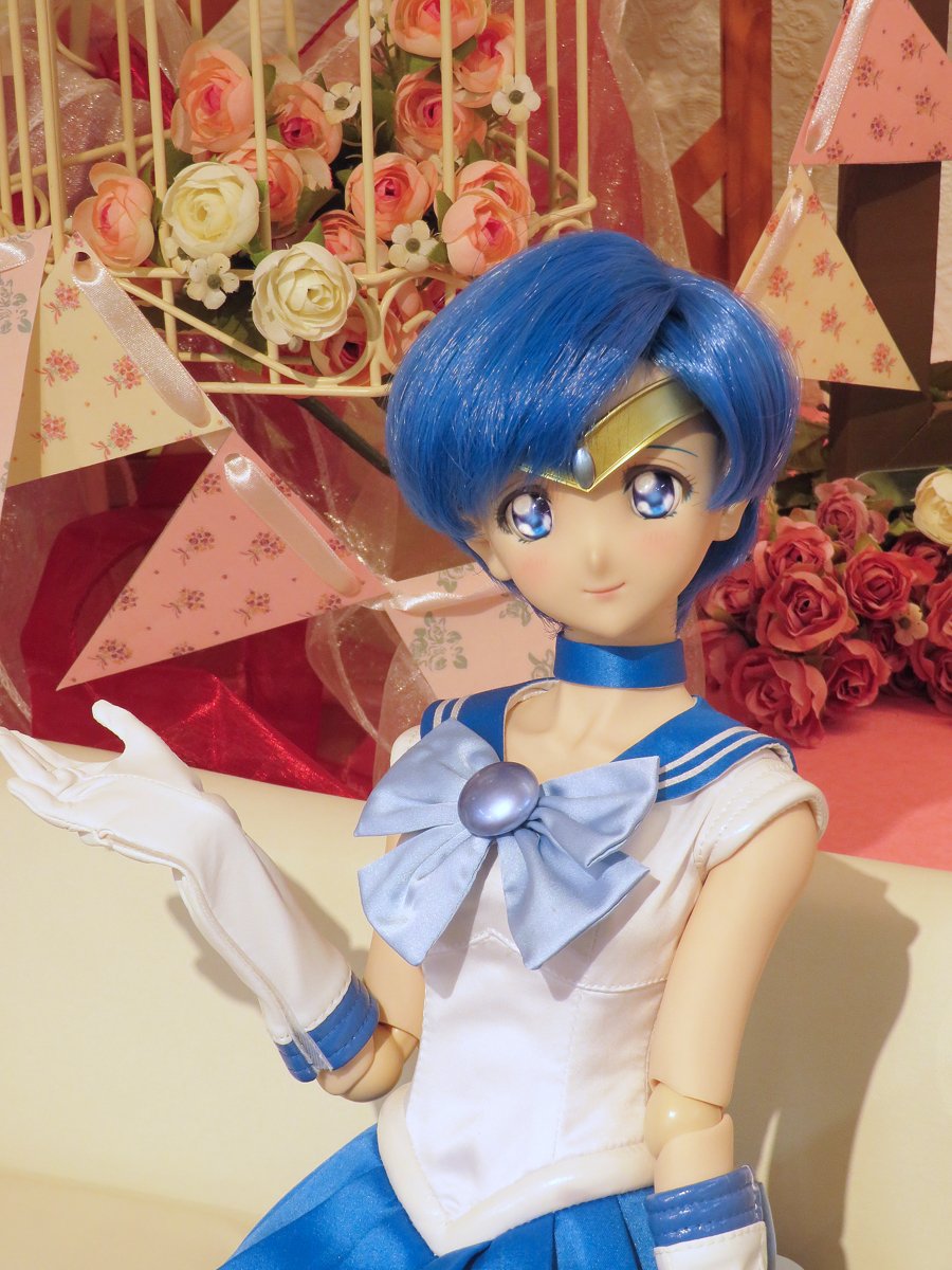 水でもかぶって反省しなさい！」DDS セーラーマーキュリーお迎えでき