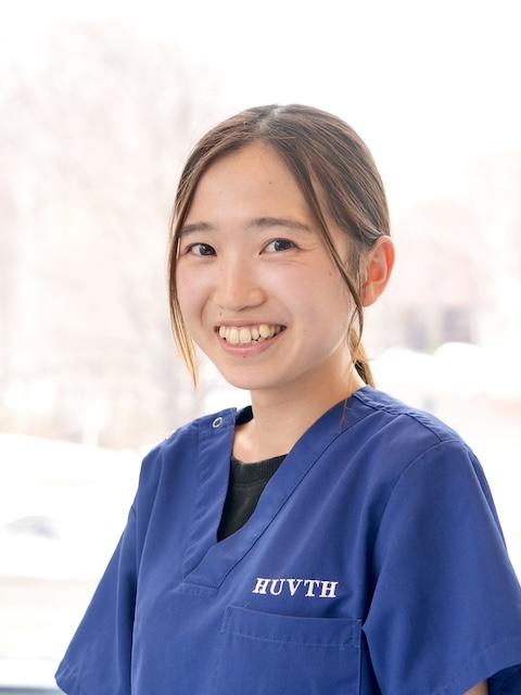 スタッフ紹介 | 北海道大学動物医療センター