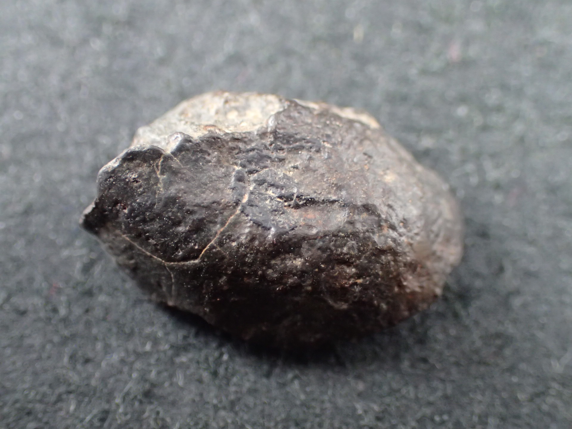 石質隕石 ｜石の販売専門店【vec stone club】