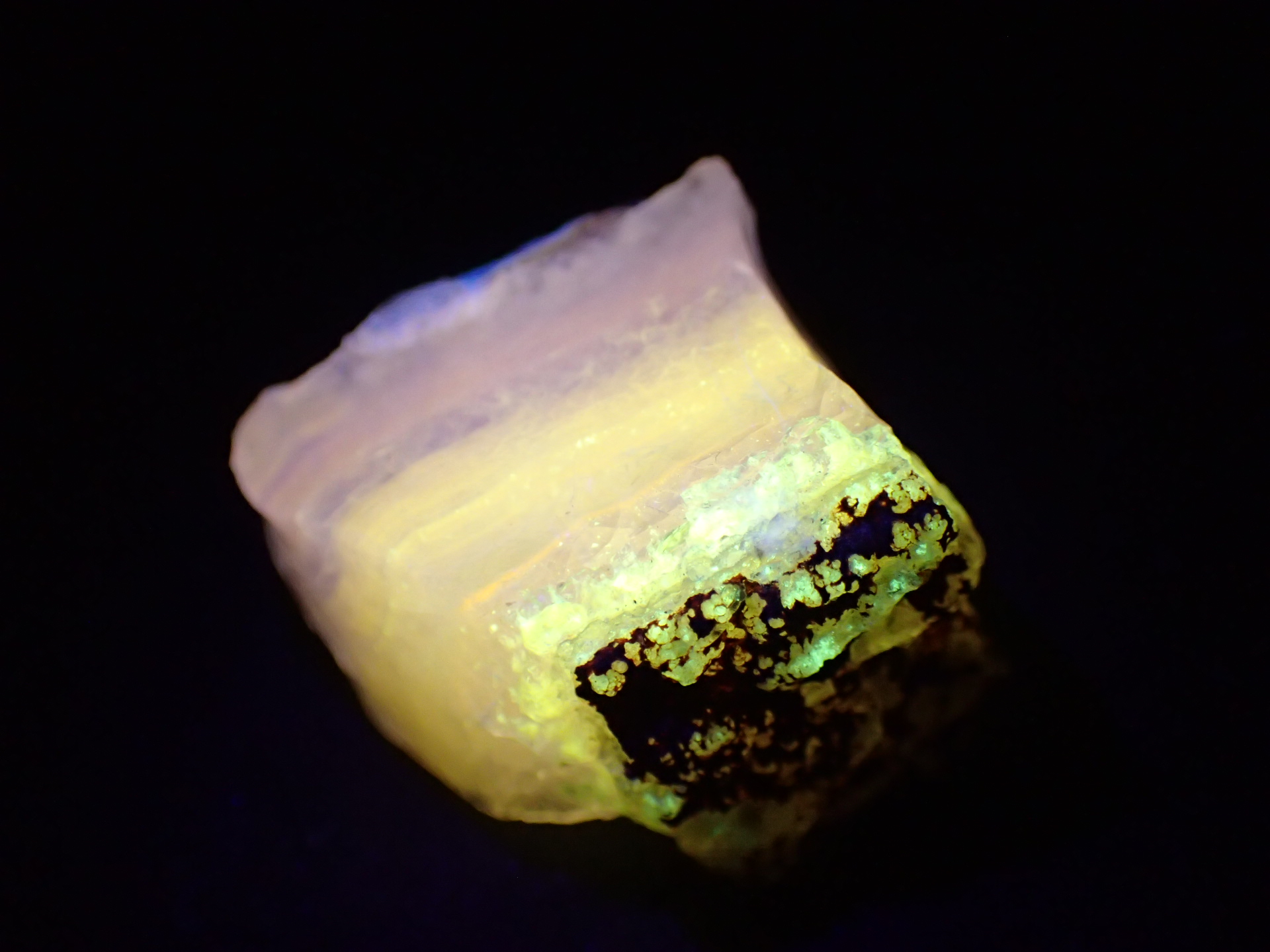 最高品質蛍光オパール 北海道然別湖西方産 ｜石の販売専門店【vec