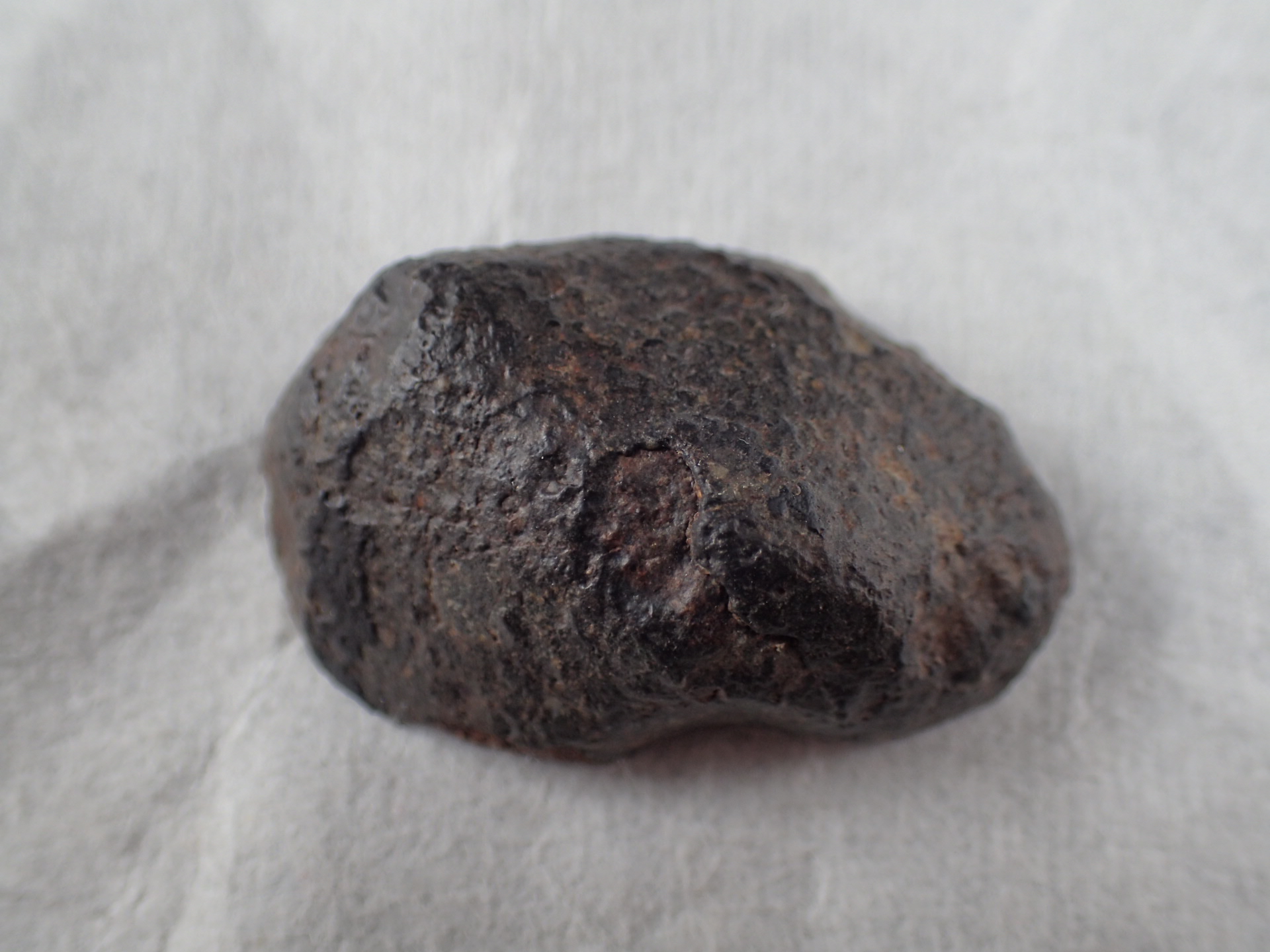 最高品質石質隕石（NWA869 Condrite） L4-6 コンドライト Foud