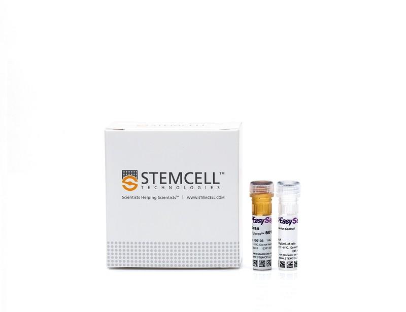 EasySep Human CD8+ T Cell Isolation Kit | 製品情報 | ベリタス