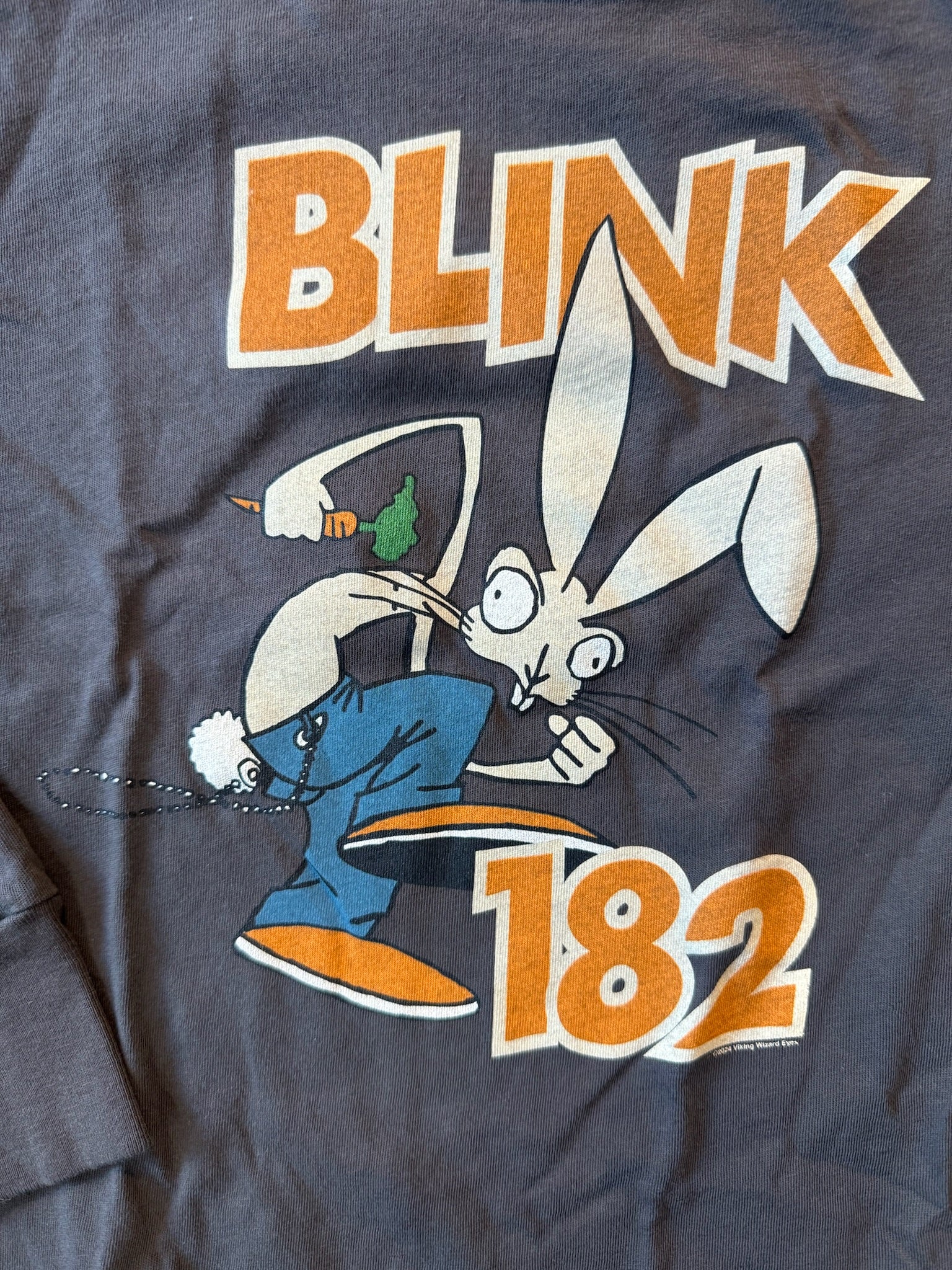 Rowdy Sprouts Blink 182 LS Tee Vintage Black | Vagabond Apparel