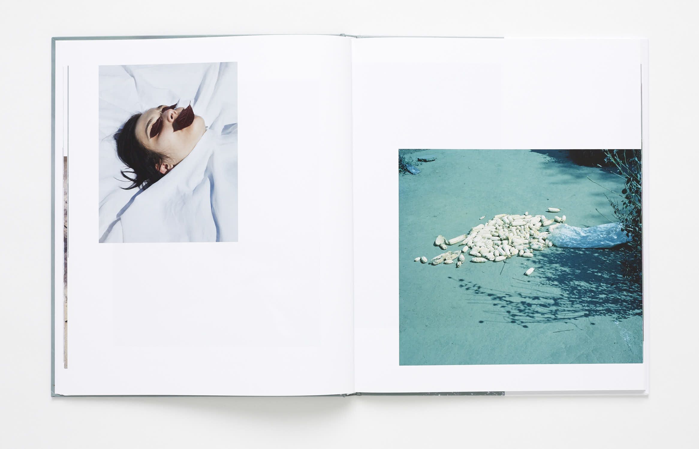 Viviane Sassen • books • Parasomnia