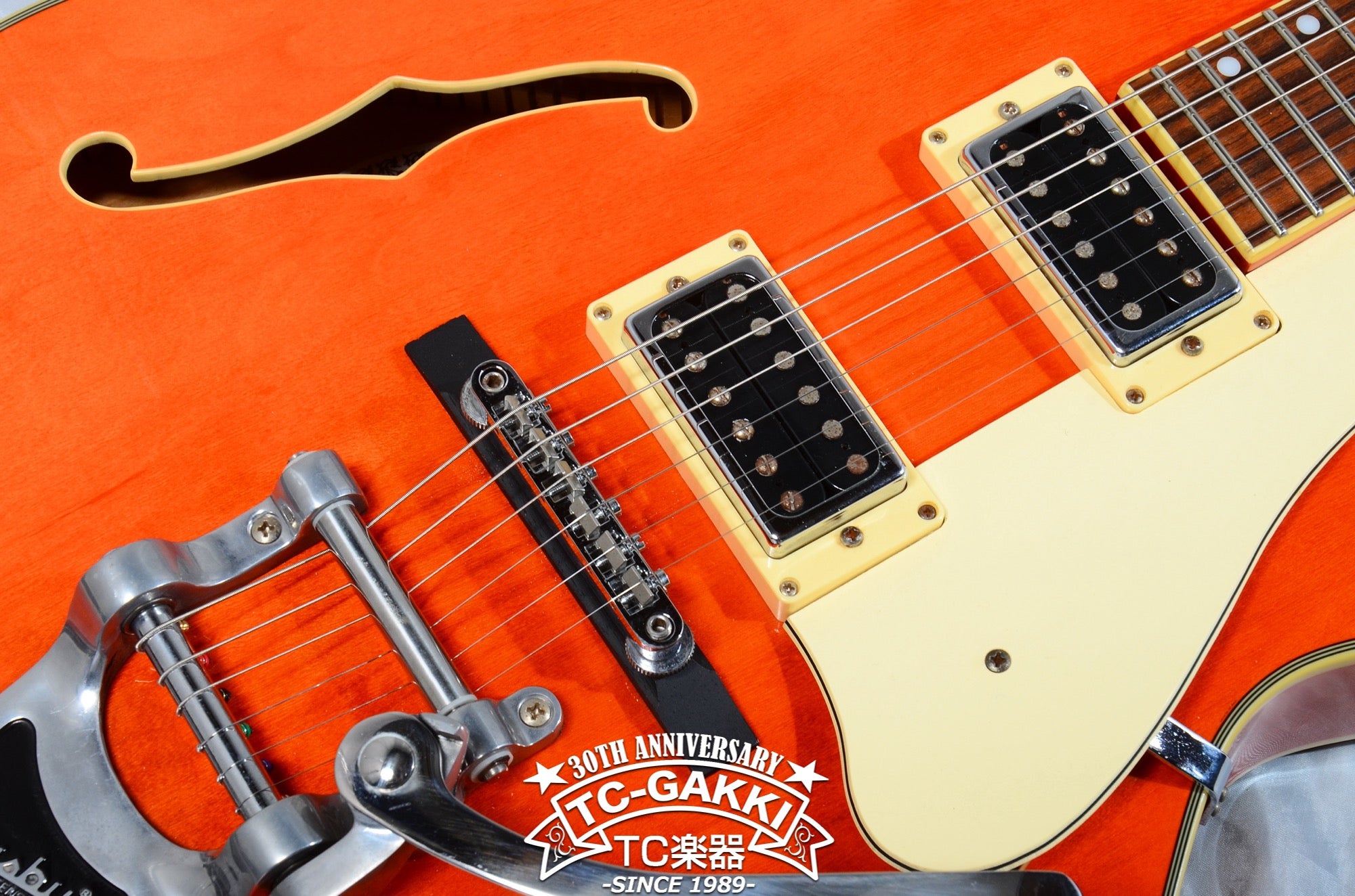 Aria Pro II FA 800 2004 0 Guitar For Sale TCGAKKI