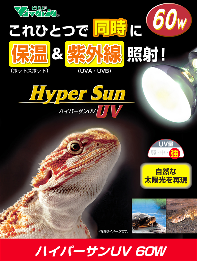 ハイパーサンUV60W 爬虫類用バラストレス水銀灯 ビバリア 販売 通販