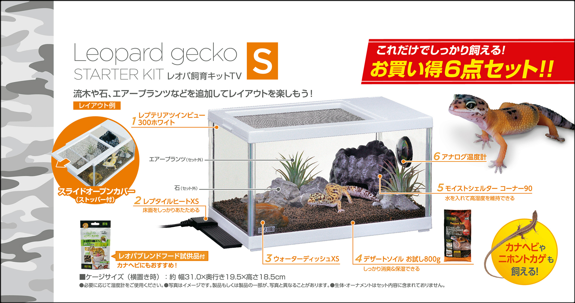 レオパ飼育キットS TV エキゾテラ(EXOTERRA) 飼育セット 販売 通販