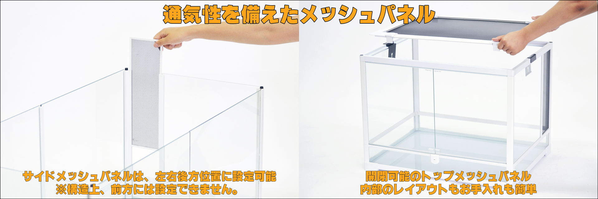 パンテオンカノンホワイトWH6045 三晃商会 ガラスケージ 販売 通販