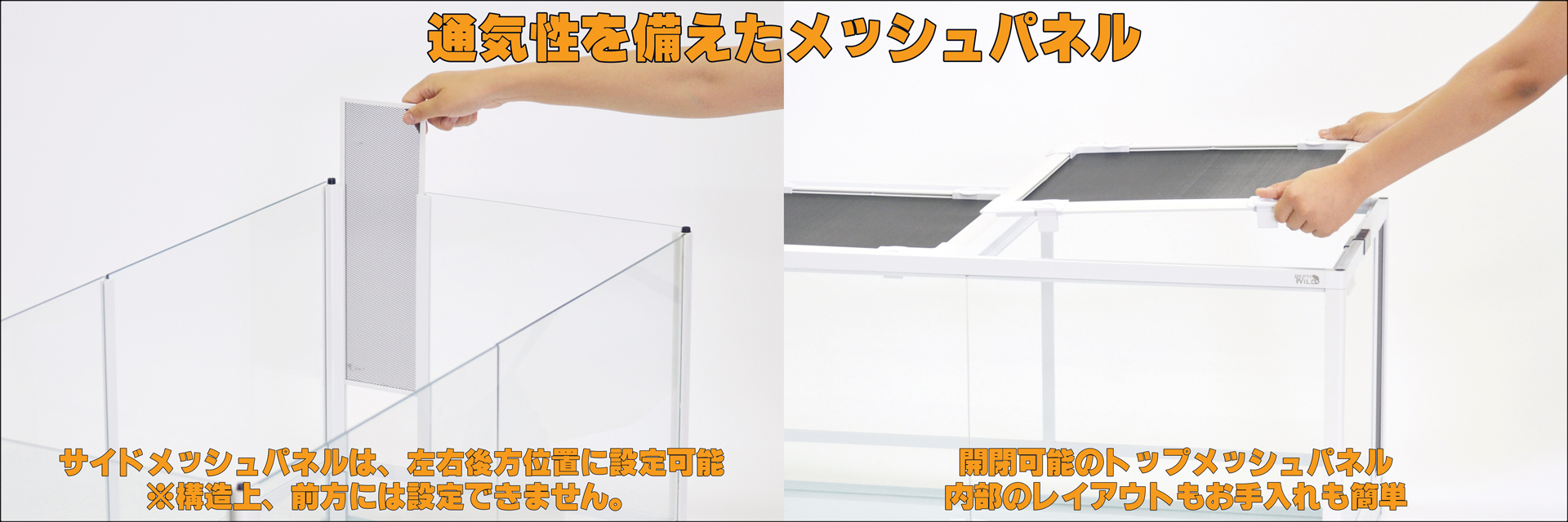 パンテオンカノンホワイトWH9045 三晃商会 ガラスケージ 販売 通販