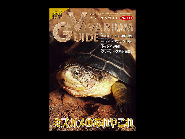 ビバリウムガイド(Vivarium Guide) エムピージェー(MPJ) 販売 通販