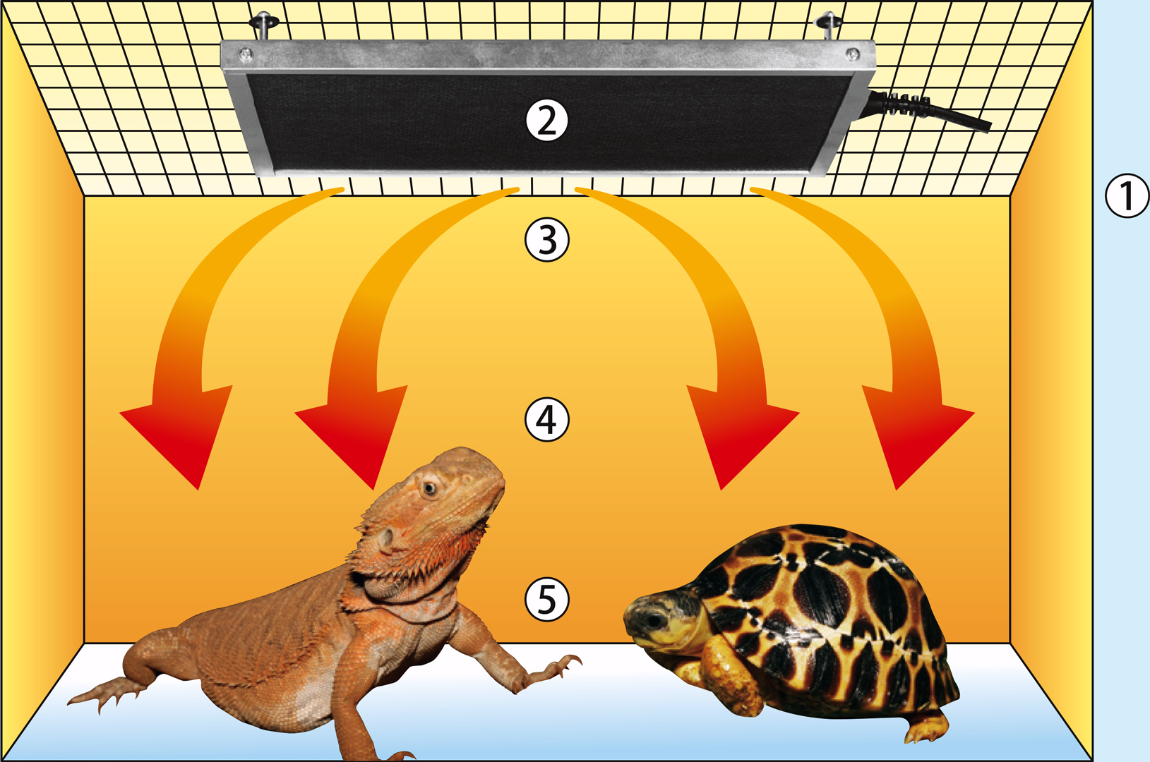 暖突L(だんとつL) レップジャパン 遠赤外線上部ヒーター 販売 通販