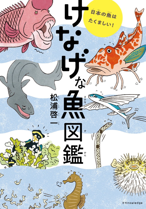 X-Knowledge | けなげな魚図鑑