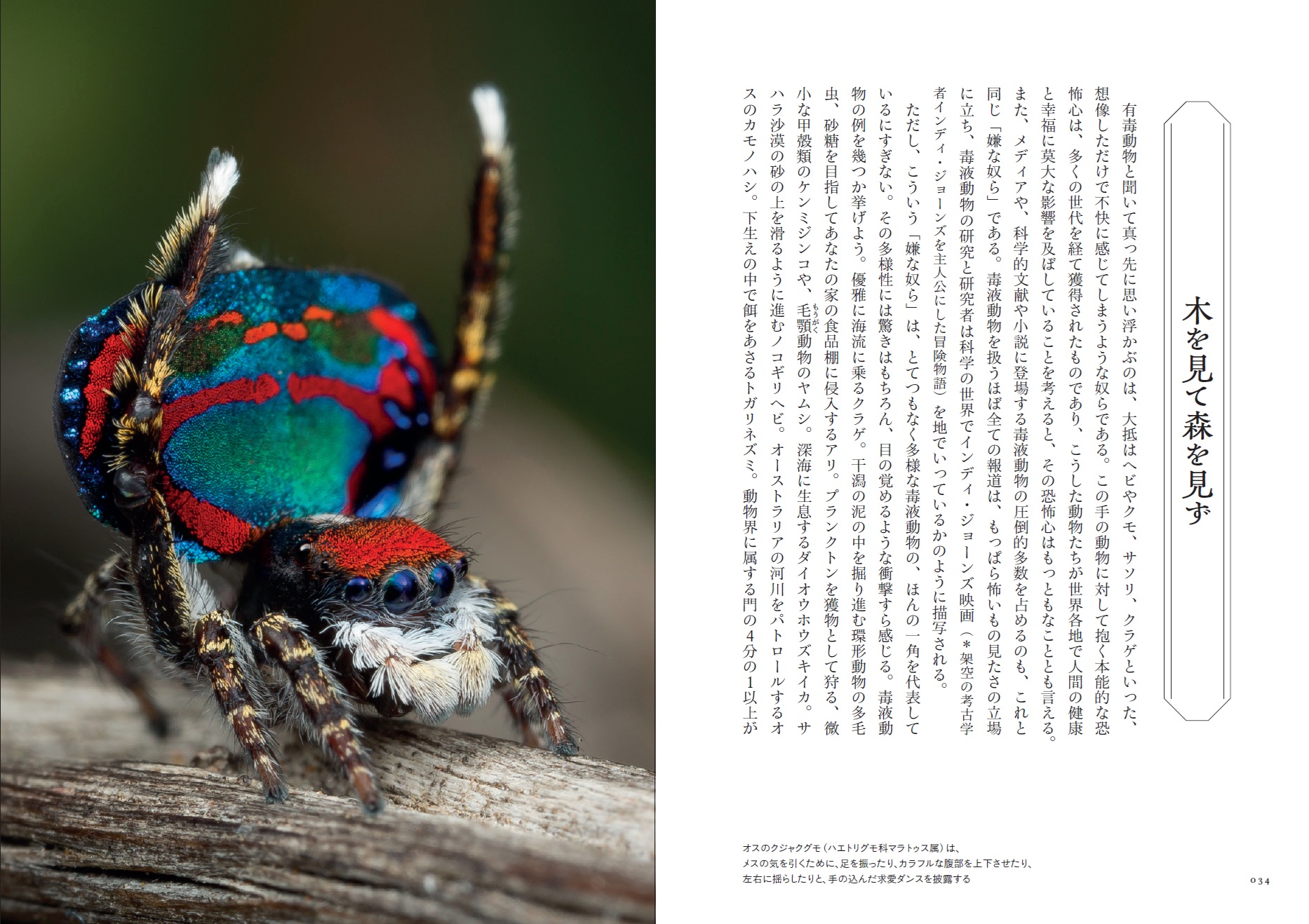 X-Knowledge | 大英自然史博物館の猛毒の生きもの