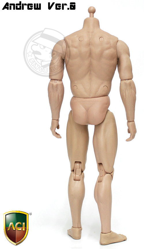 ACI Toys - 1/6 Body Series - Andrew Ver.0 (plain version : unpainted)