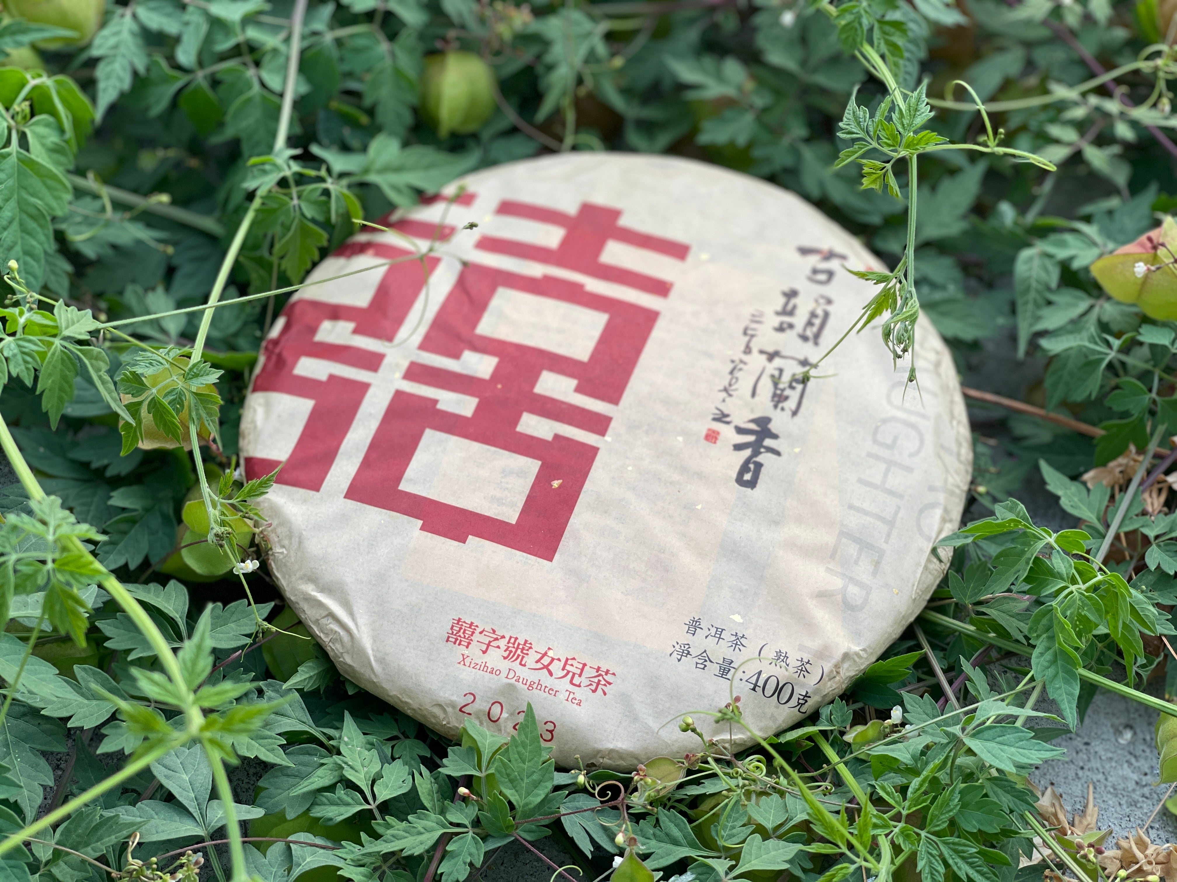 2023 古韻蘭香 - 熟茶 Ancient Orchid - Ripened Tea – Xizihao