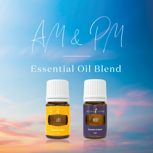 新製品、限定販売製品、キャンペーン製品を一覧でご紹介しています