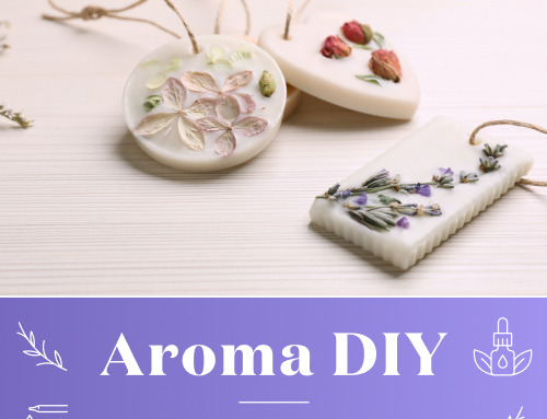 YLドリームキャッチャーが発売当初のブレンド内容になって登場