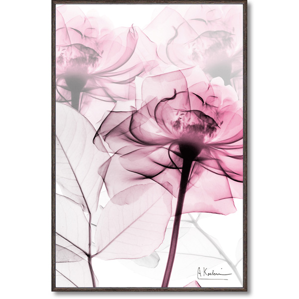 XRAYキャンバスアート「ピンクローズ(Sサイズ)」 | ユーパワー