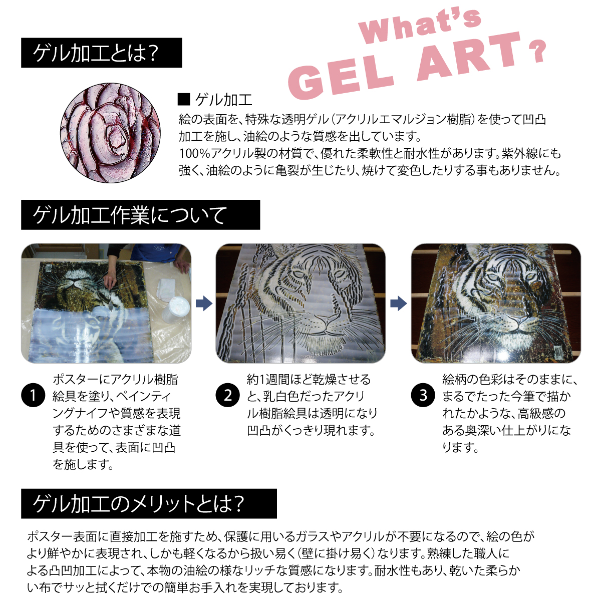 キャサリンホワイト「お気に入りの花屋」 | ユーパワー オンライン