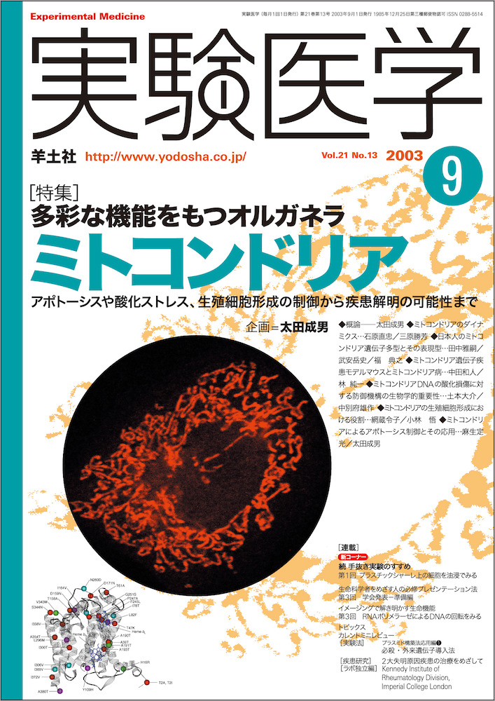 実験医学：多彩な機能をもつオルガネラ ミトコンドリア - 羊土社