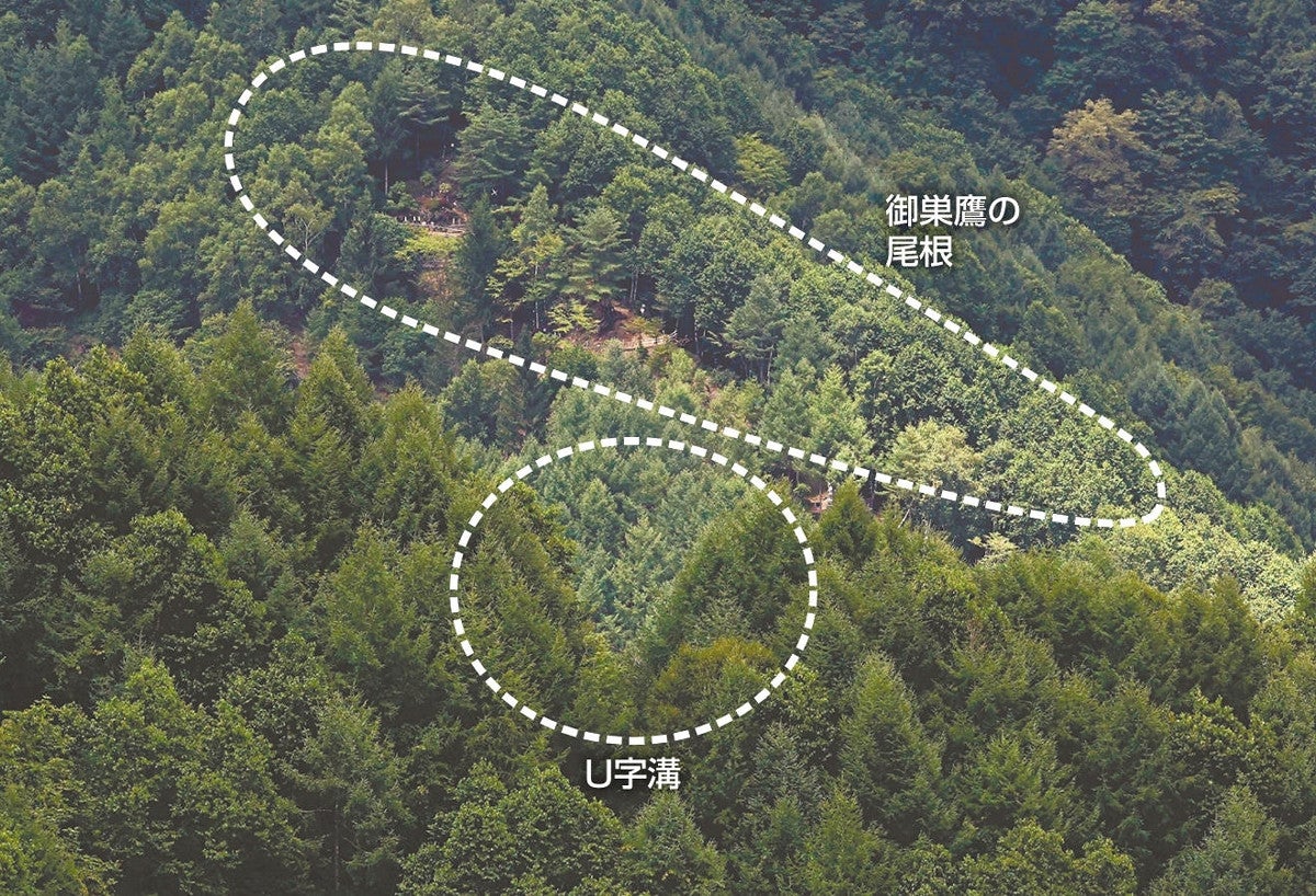 JFLIP 1,2,3 航空路図誌 令和4年11月15日号 File:Japan Airlines 123