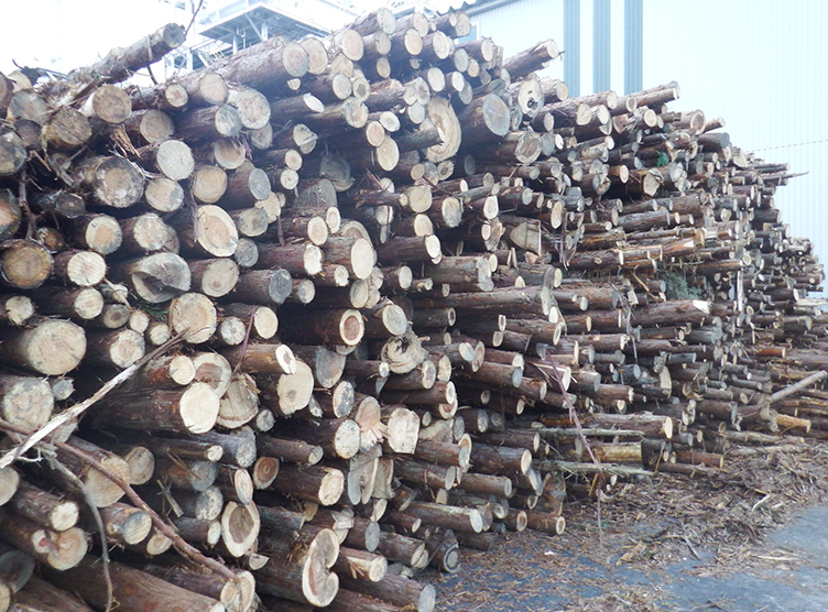 四国第1号の木材専焼ボイラ発電所が売電開始 ｜ 実績紹介 ｜ ニュース