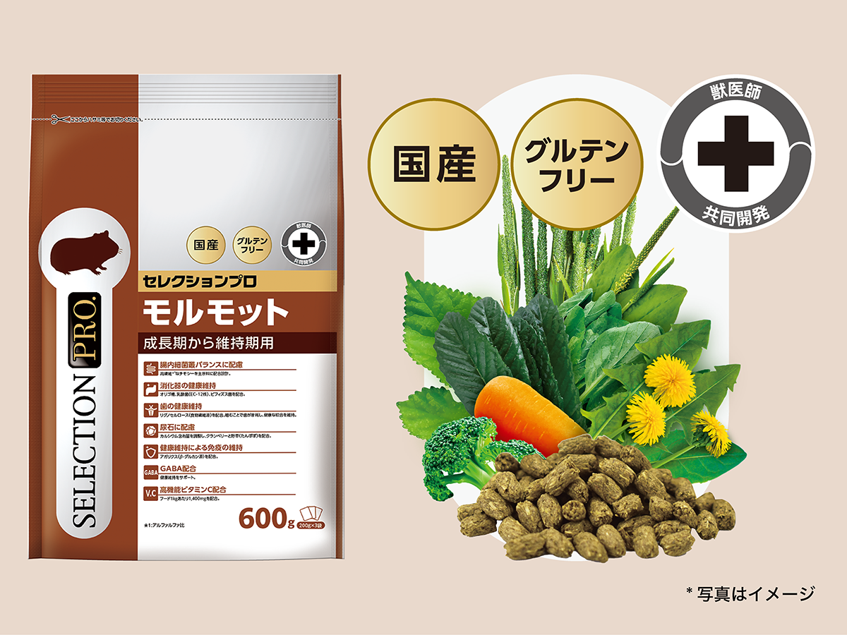 GUINIEA PIG SELECTION PRO.｜ブランドサイト ― TOP