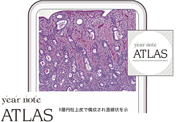 イヤーノート 内科・外科 | yearnote イヤーノート