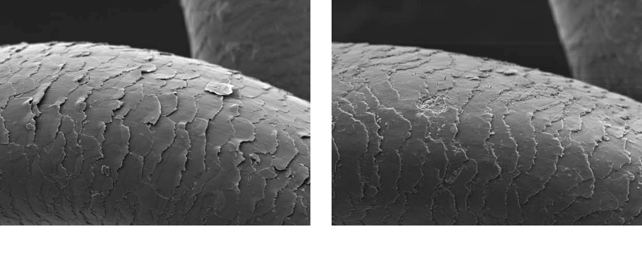 ヴェーダリフトドライヤー」 | プロ ライン | YA-MAN TOKYO JAPAN