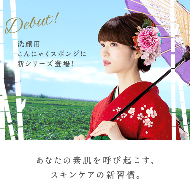 ジューシーこんにゃくスポンジ|食べられるほど天然、100％こんにゃくで