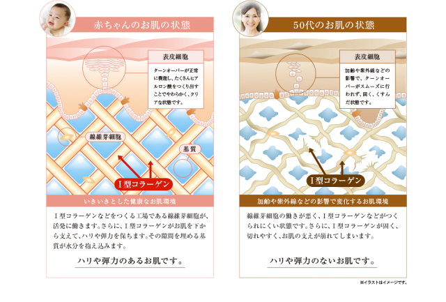 コハクセンチュリーゼロ コハクナノ パーフェクトローションN 山野愛子