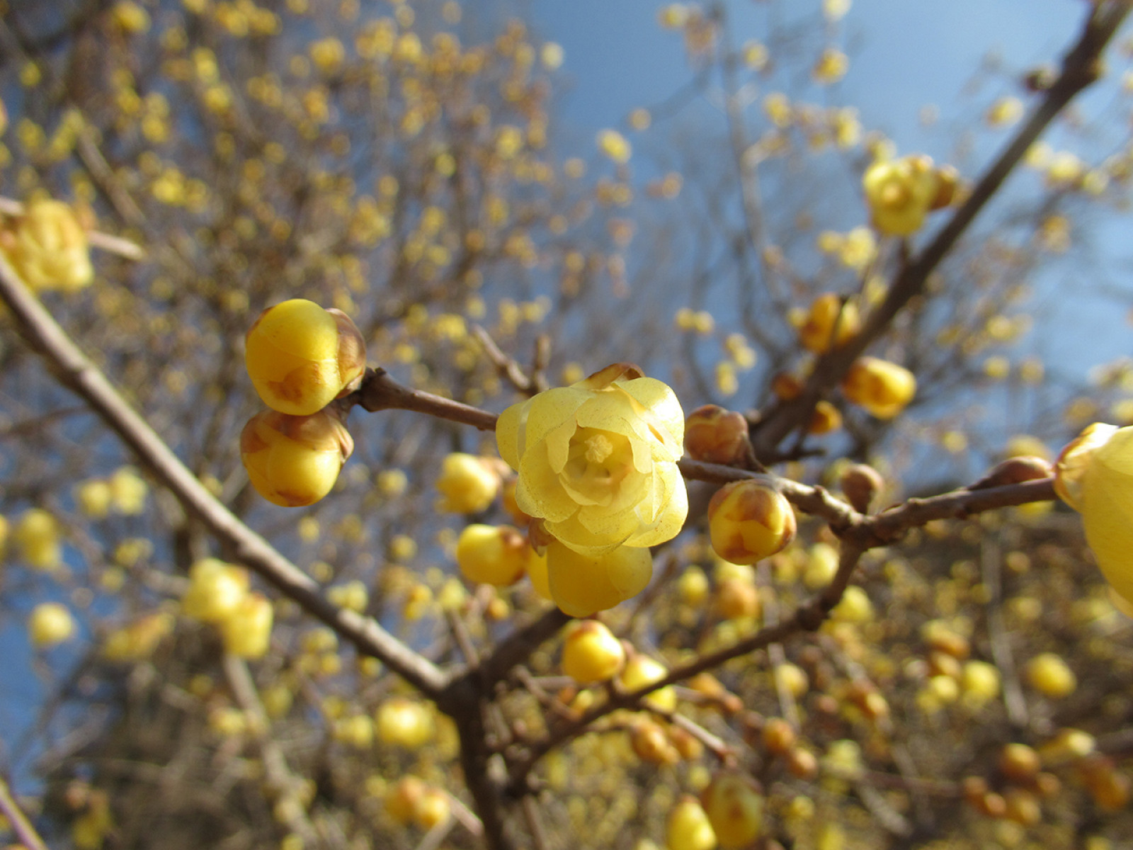 山と溪谷』にて3号連続となる夏山応援キャンペーン開催。特別付録や