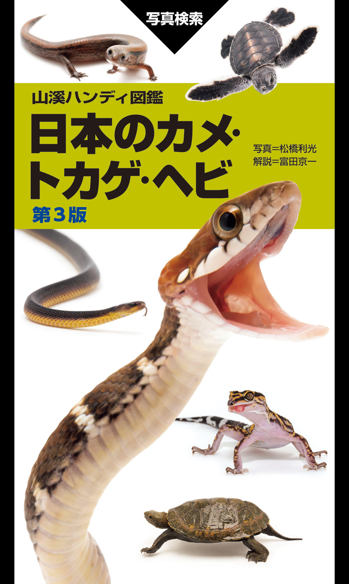 定番の日本の爬虫類図鑑が刷新。ヨウリンウミヘビなど近年の新規記載種