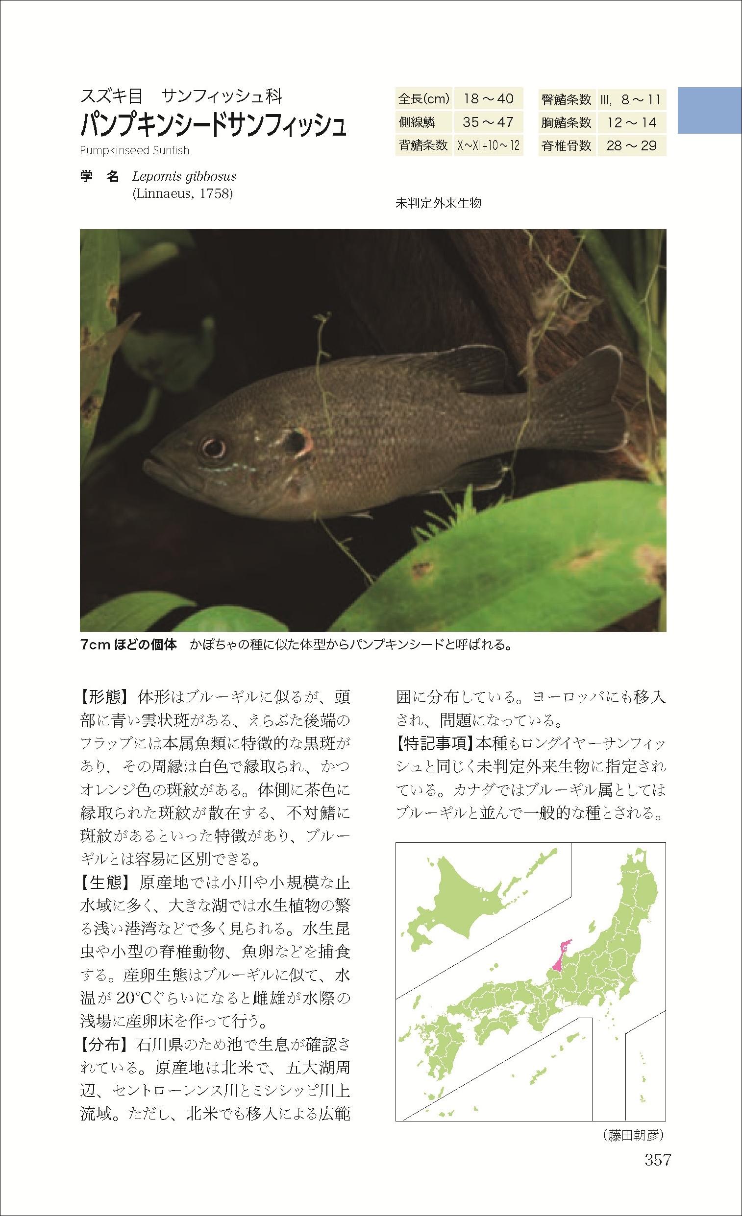 日本の淡水魚図鑑の決定版『山溪ハンディ図鑑 日本の淡水魚』が第4版に