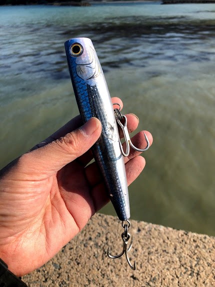 島根半島のヒラマサキャステイングゲーム by福元和孝 - マリア