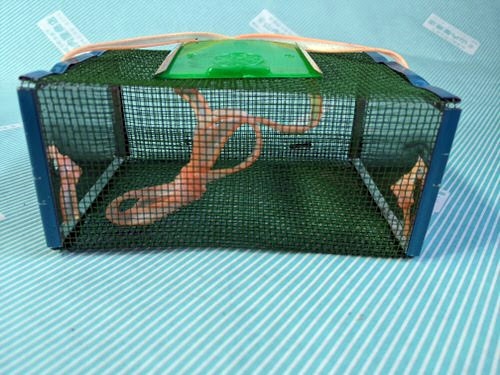 虫カゴ】金網 昆虫採集用 虫籠 蛍かご 蛍籠 / 会津 山内屋商店