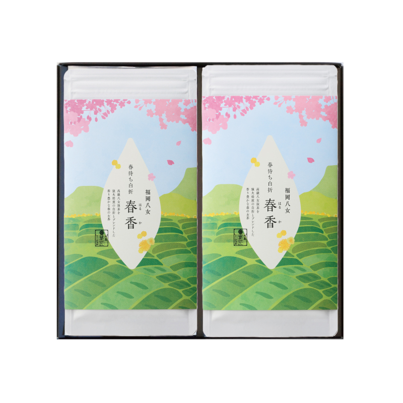 八女抹茶入り白折 春香 お茶ギフト｜八女茶・深蒸し茶・玉露・日本茶の